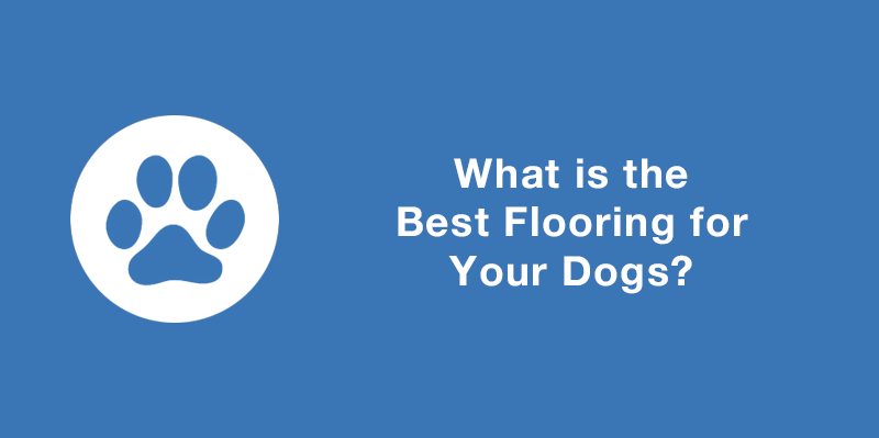 What is the best flooring for your dogs?